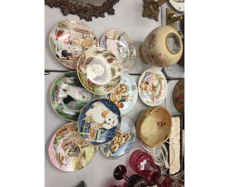 A COLLECTION OF ROYAL WORCESTER PLATES BY PAM COOPER FROM THE MIXED COMPANY PLATE COLLECTION DEPICTING PETS AND A BOWL AND VA