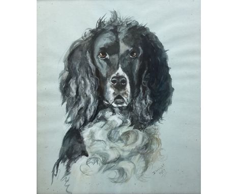 D Wright (British mid-20th century): Portrait of a Spaniel, watercolour signed and dated 1957, 42cm x 36cm