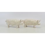 Two Beswick Pigs to include CH Wall and CH Wall Queen (2)