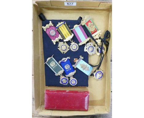 Royal Order of Antediluvian Six Hallmarked Silver and Enamel incl. Roll of Hb0nour Treasurer, Founder. And one Red Leather Me