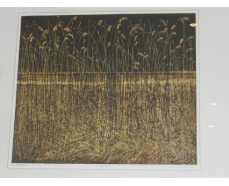 Phil Greenwood (British, b.1943), Night Reeds, lithograph, artist's proof, signed and dated 73 in pencil lower right. H: 38cm