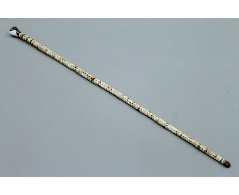 A shark vertebrae swagger stick. 62.5 cm long.