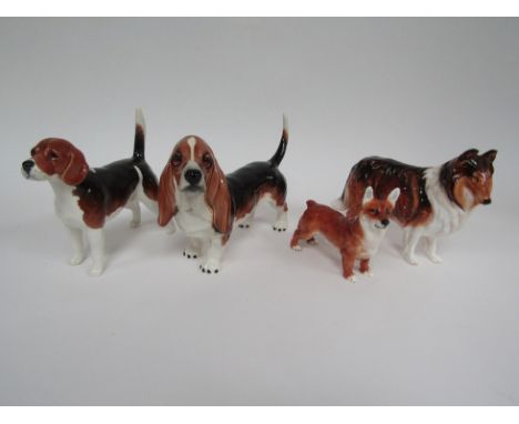 A Beswick Beagle "Wendover Billy" large in gloss, model no. 1933A, Beswick Basset Hound "Fochno Trinket" in gloss, model no. 