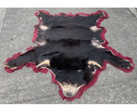 A vintage Asian sun bear skin rug,&nbsp;approximately 190 x 175 cm