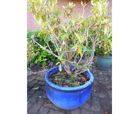 A LARGE BLUE GLAZED STONEWARE PLANTER, approximate diameter 52cm