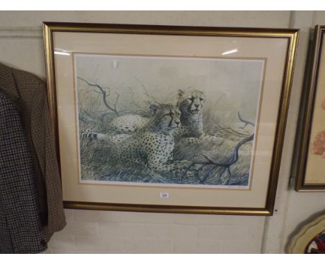 A Framed Spencer Roberts Print of Cheetahs with Artist Proof Stamp and Signed by The Artist. 