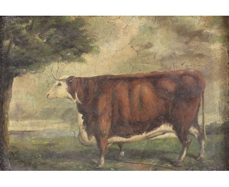 A Victorian style gilt framed print of a cow. Unsigned, 11.5cm x 16.5cm, iin a substantial frame, 31cm x 37cm