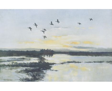 Peter Scott (British, 1909-1989) signed print. Depicting birds in flight, signed in pencil (lower right), 37.5cm x 54.5cm, fr