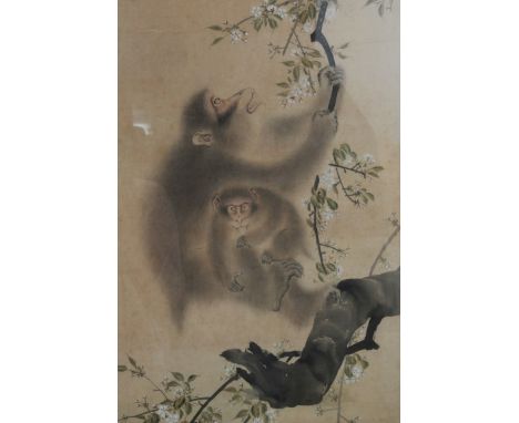 Late 19th / early 20th century Chinese painting on silk of two monkeys in a blossoming tree, in glazed frame, 69cm x 53cm CON
