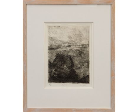 *Peter Godfrey Coker R.A. (1926 - 2004), artists proof etching and aquatint - Starbotton, signed, in glazed frame, 33cm x 24c