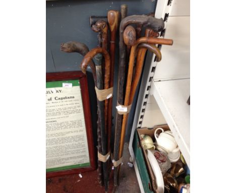 2 BUNDLES OF WALKING STICKS, LENGTH APPROX. 96CM. R