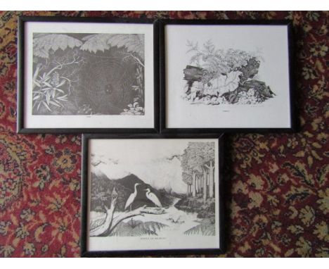 3 After Rei Hamon (New Zealand artist) framed and glazed prints 'Pearl' 'Embrace' and 'Jewels of Okarito'&nbsp; 27cm x 32cm a
