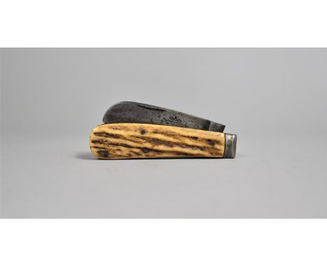 A Vintage Pruning Knife with Stag Horn Scales, Stamped with Makers Name and Cutlers to His Majesty to Blade 