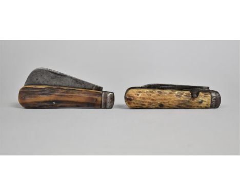 A 19th Century Pruning Knife with Stag Horn Scales together with a Similar Two Bladed Pocket Knife 