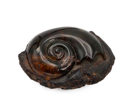 Carved and polished amber ammonite, length 12.5cm, width 9.5cm, depth 5cm, weight 245 grams.