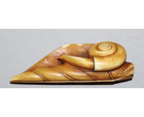 A 19TH/20TH CENTURY JAPANESE STAINED IVORY NETSUKE, unsigned, carved in the form of a snail on a curled leaf, 2.5in long.