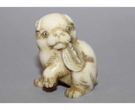 A 19TH CENTURY JAPANESE MEIJI PERIOD CARVED IVORY NETSUKE OF A PUPPY BY TAMATOMO, the animal seated with one paw raised and h