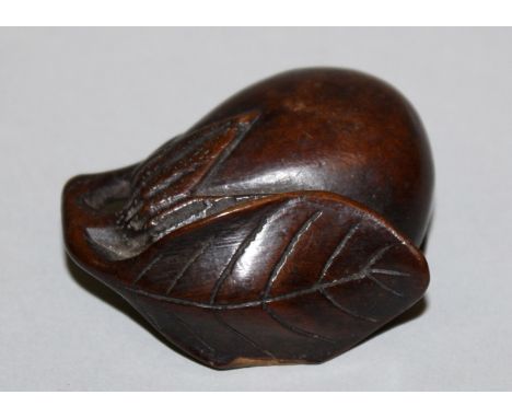 A 19TH/20TH CENTURY JAPANESE CARVED WOOD NETSUKE OF A LEAF SHROUDED GOURD, unsigned, 2.2in long & 1in high.