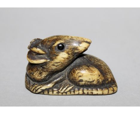 A GOOD 18TH/19TH CENTURY JAPANESE EDO PERIOD IVORY NETSUKE OF A RAT, unsigned, the animal seated with its head turned backwar