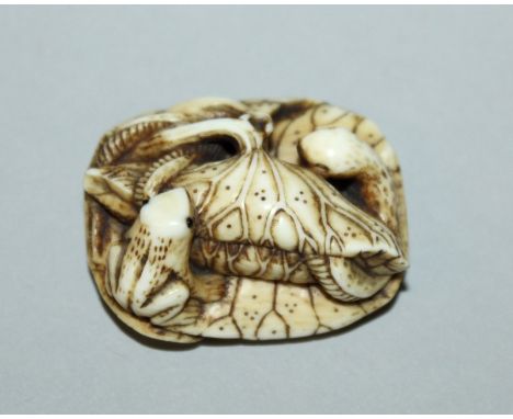 A GOOD 19TH CENTURY JAPANESE MEIJI PERIOD IVORY NETSUKE OF LOTUS PODS, unsigned, the lotus pods and leaves carved with an int