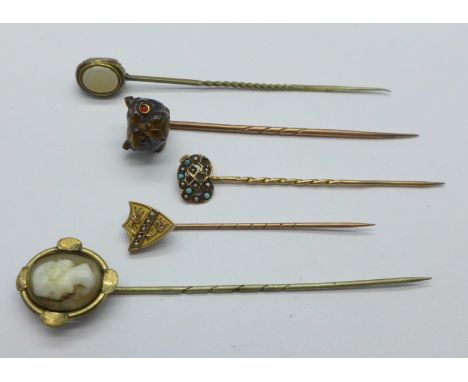 Five stick pins including one with carved tigers eye dogs head with red stone eyes and two marked 9ct, turquoise set pin a/f