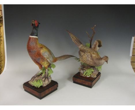 Two Royal Worcester Figures Cock and Hen Pheasants supported by rustic trunks, green fern fronds, on wooden plinths, modelled