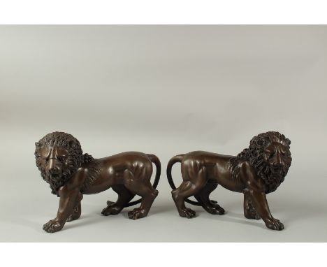 A PAIR OF BRONZE LIONS. 30cms long.