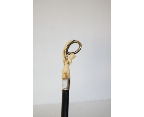 Bone handle walking stick 