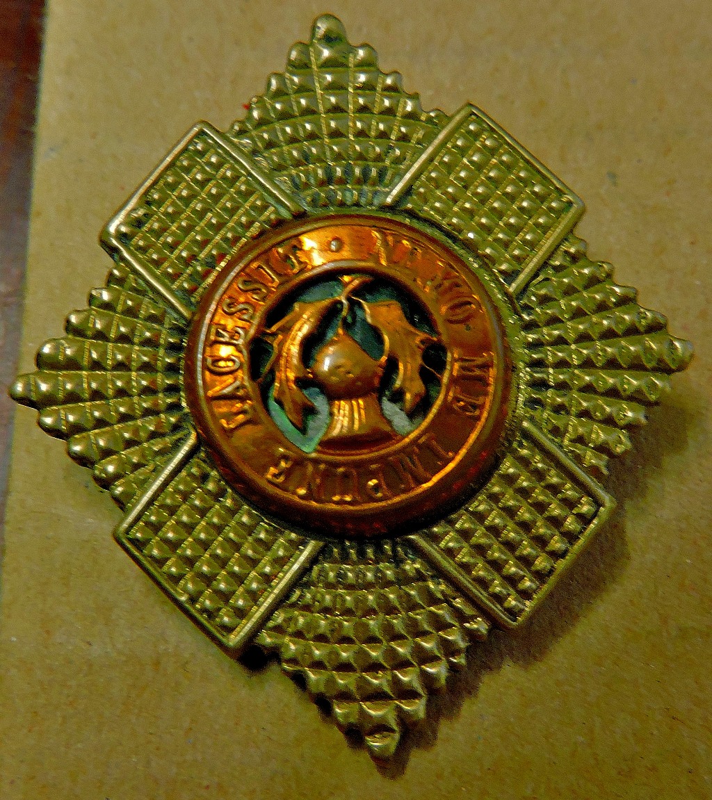 Royal Scots Guards Officers cap badge (Bi-Metal)