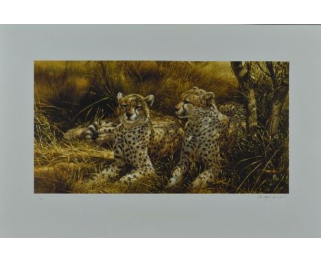 MICHAEL JACKSON (BRITISH 1961) 'CHEETAHS' a limited edition print 71/95 of a pair of cheetahs lying in the shade, signed and 