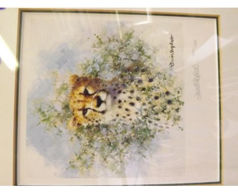 David Shepard leopard print Limited edition signed in pencil with blind stamp
