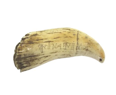 SCRIMSHAW SPERM WHALE TOOTH - SOUTH SEA ISLANDS probably Fijian or Samoan, carved with the word Tinatina, length 16cm *This i