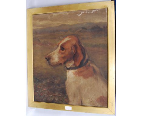 DG Steel Portrait of a hound, 'Sketch' Signed and dated 1891 lower right, oil on canvas, 55cm x 45cm.CONDITION REPORT: The pa