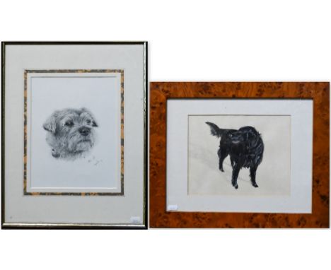 Jayne Chapman - watercolour study of a black flatcoated retriever, signed, 39 x 24 cm to/w Ingrid Berry pencil portrait of a 