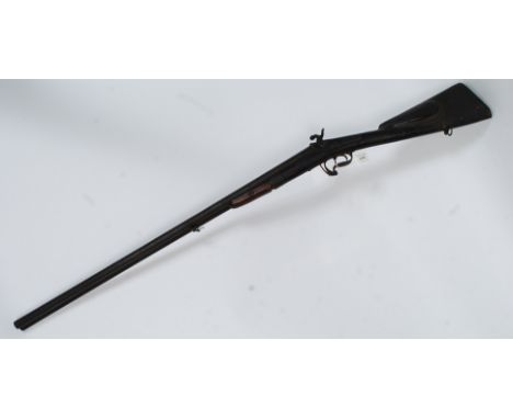 A Victorian twelve bore side by side double barrel  hammer sporting percussion pin fire shotgun. The gun with shaped walnut s