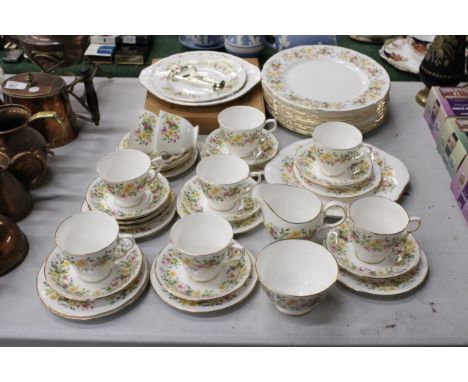 A LARGE COLCLOUGH TEASET FROM THE 'HEDGEROW' COLLECTION. TO INCLUDE CAKE STAND, TRIO'S ETC