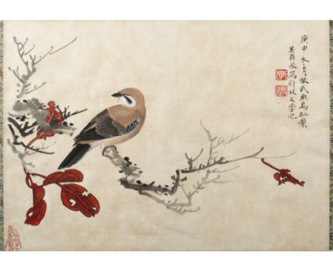 20th Century A Chinese ink and coloured wash study of a bird on a branch, signed with red seal, 32cm x 43cm