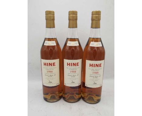 6 bottles Hine Grande Champagne Cognac 1988Landed 1990, bottled 2006 by Bristol SpiritsThis lot is subject to VAT on the hamm
