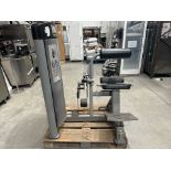 Everlast Back Extension