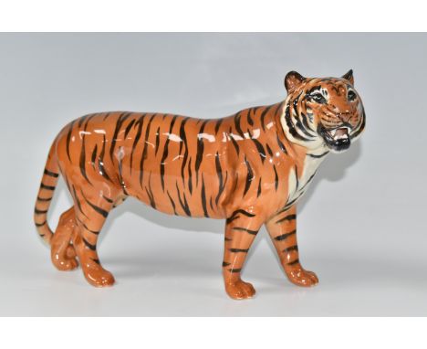 A BESWICK TIGER FIGURE, model no 2096, gloss finish, height 18.5cm, length 29cm (1) (Condition Report: appears in good genera