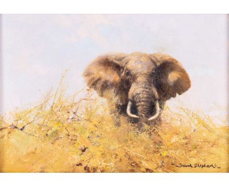 David Shepherd CBE (British 1931-2017) Bull Elephant in Long Grass  signed and dated 'David Shepherd '79' (lower right) oil o
