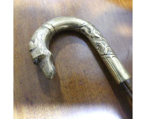A vintage Paragon S. Fox &amp; Co Umbrella, with gold plated handle in the form of a Dog, rosewood stem, together with an ant