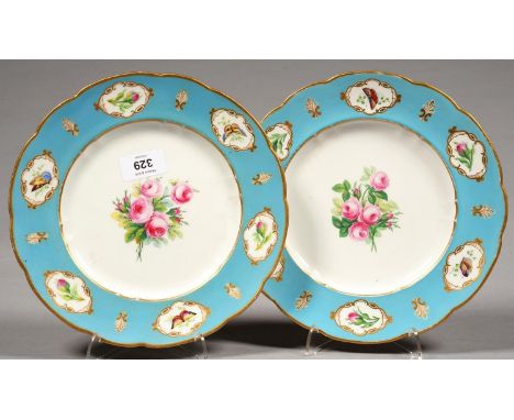 A PAIR OF KERR AND BINNS SEVRES STYLE DESSERT PLATES, PAINTED TO THE CENTRE WITH ROSES, THE BLEU CELESTE BORDER WITH GILT MED