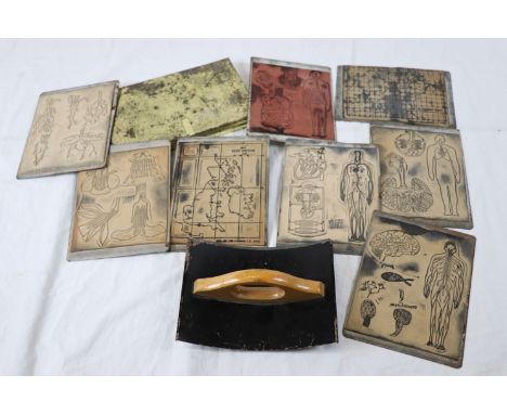 Nine early 20th century E.J. Arnold & Son Ltd printing plates comprising anatomy to include detailed images of the lungs, hea