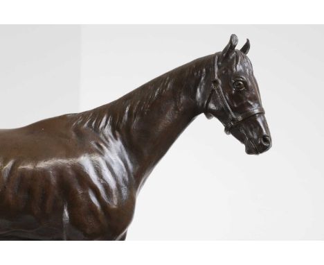 Pierre Lenordez (French, 1814-1892), a standing racehorse, bronze with brown patina, signed to the base and inscribed 'Gladia