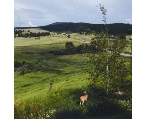 Zeitgenössische Kunst - - Stephen Shore.  (1947 New York). Bridger Canyon, Bozeman, Montana, July 17, 2018. 2018/2019. C-Prin