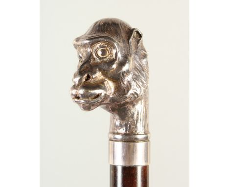 A WALKING STICK with cast silver handle of a MONKEY. 90cms long.