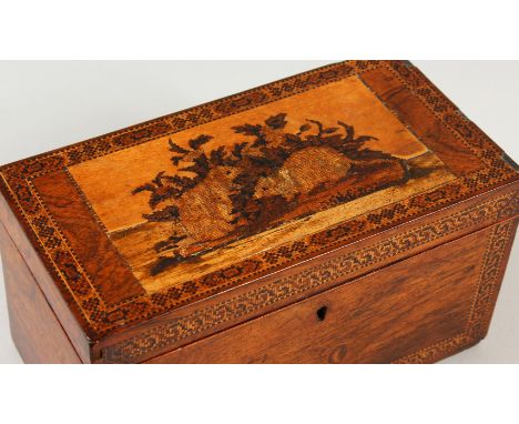 A GOOD RARE TUNBRIDGE WARE TWO-DIVISION TEA CADDY, the top with two rats and floral inlay. 26cms long.