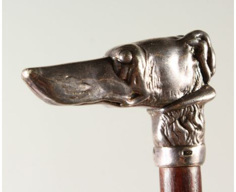 A WALKING STICK with cast silver handle of a GREYHOUND. 92cms long.