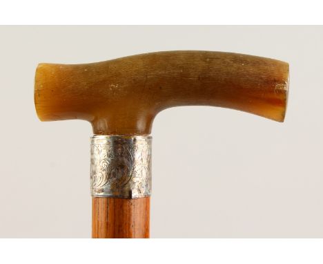 A VICTORIAN BLOND RHINO HORN HANDLED MALACCA WALKING STICK, with silver band. Birmingham 1895.  2ft 9ins long.